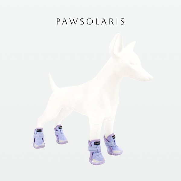 AirPaw Walkers - Purple