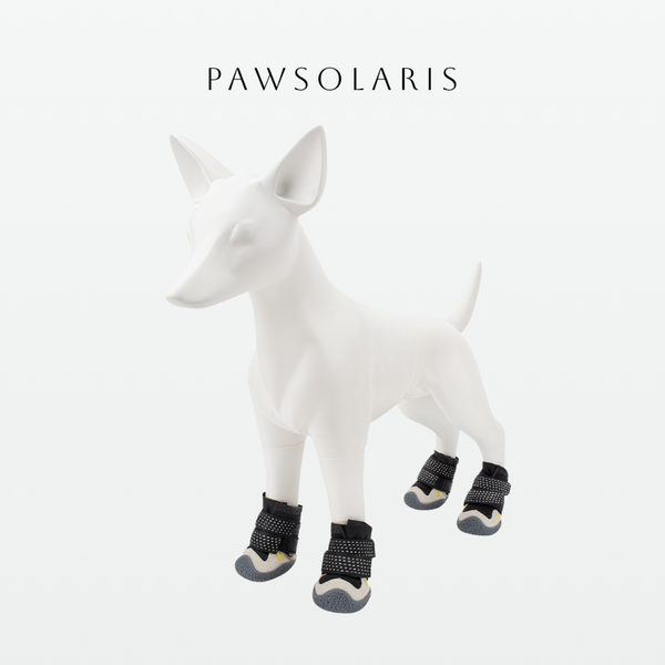 PawShell Shoes