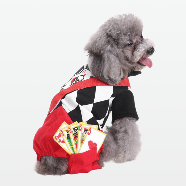 Ace of Tricks Suit