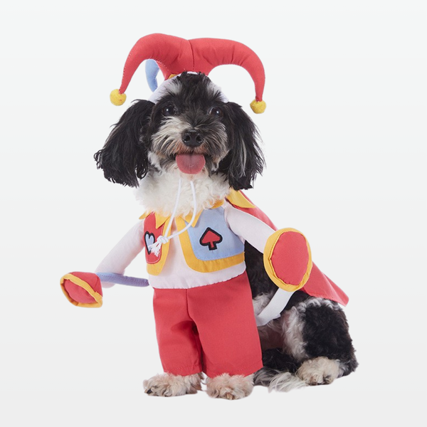 Hearty Jester