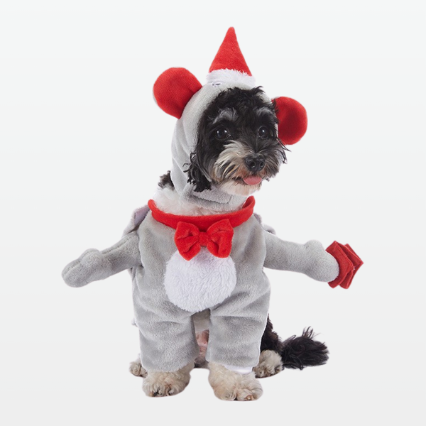 JollyGift Suit