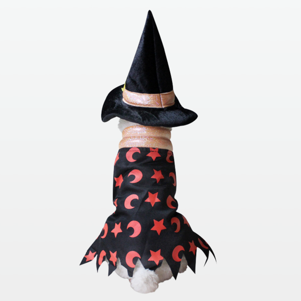 Mystic Cloak