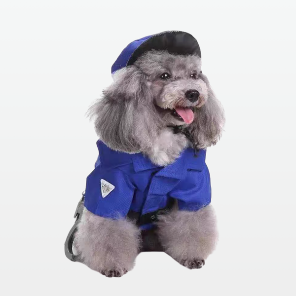 Pawlice Patrol