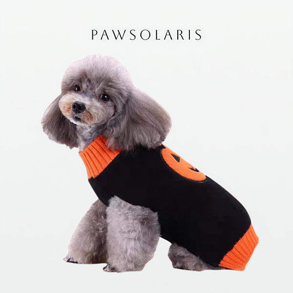 Pawmpkin Patch Sweater