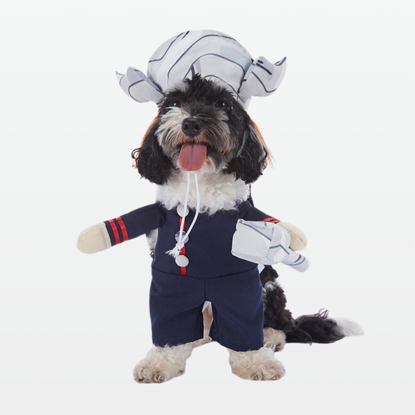 Paw of Thunder