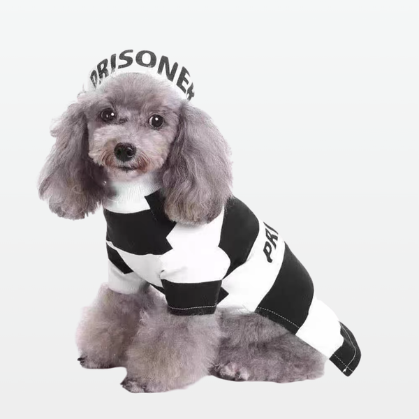 Pawshank Escape