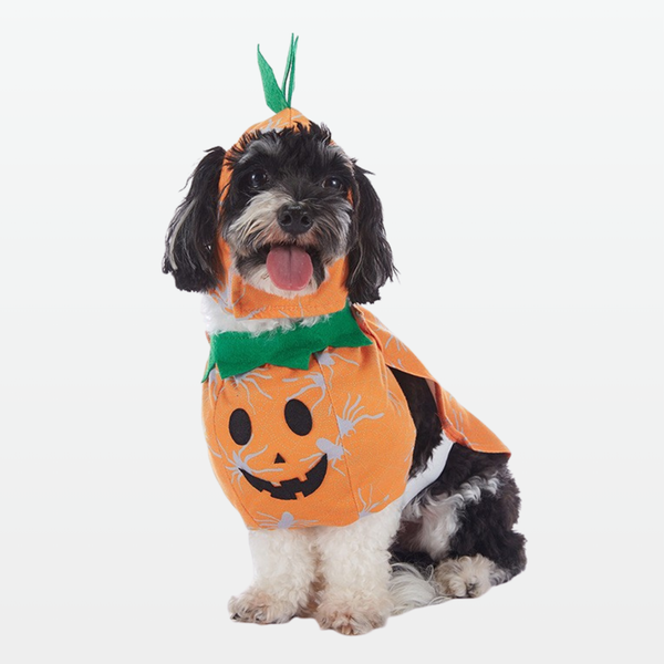 Pumpkin Boo Suit