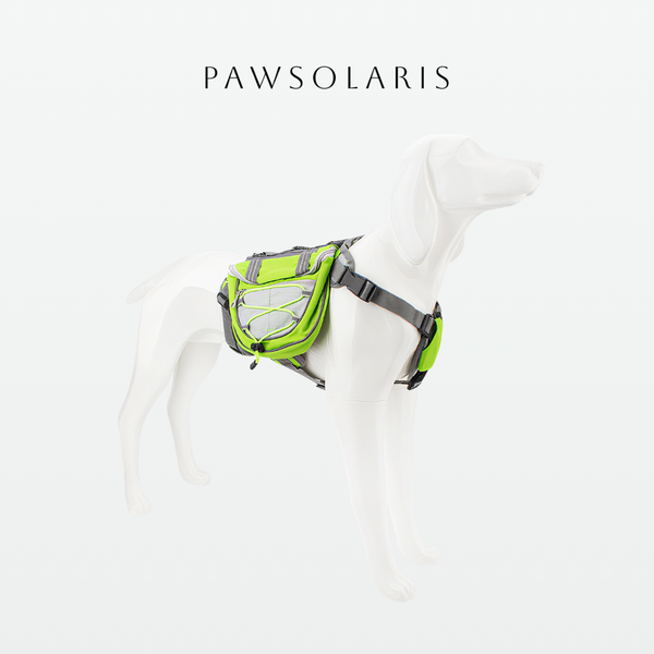 Summit Pup Backpack